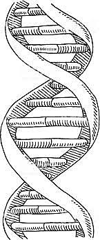 James Watson Y Francis Crick