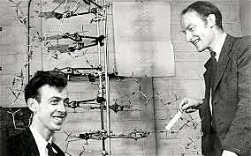 JAMES WATSON Y FRANCIS CRICK