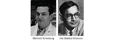 Marshall Nirenberg y H. Gobind Khorana