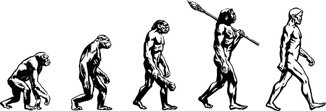 Evolution Trial