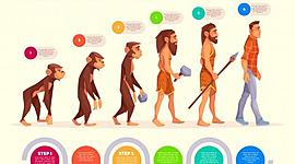 Timeline: Evolución del hombre a través del tiempo