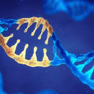 Timeline: El genoma humano