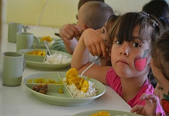 Creación del Instituto Nacional de Nutrición