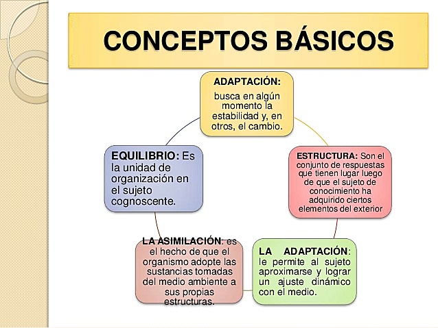 La teoria de Piaget: desarrollo cognitivo