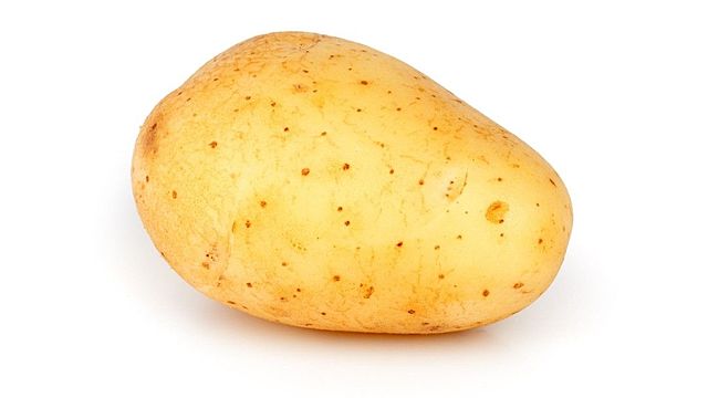 Secuenciación del genoma de la papa.