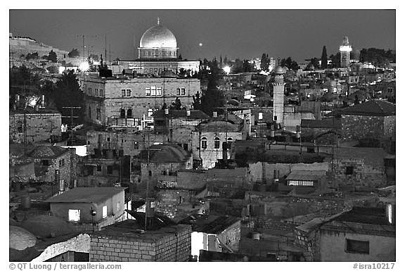 The gang leaves to Israel