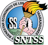 Creacion del SNTSS