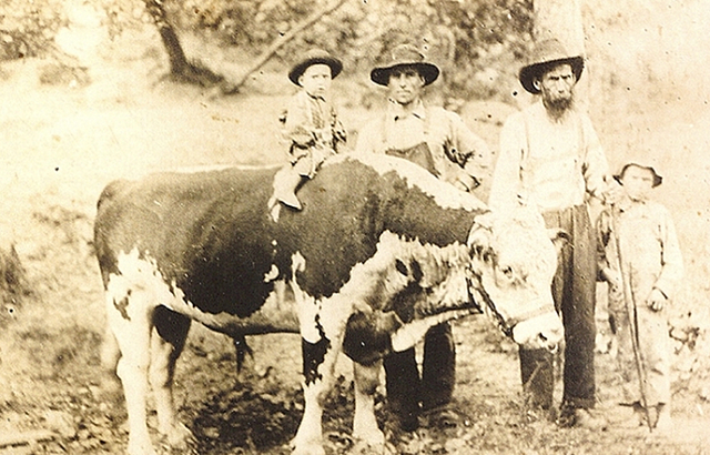 Indian Citizenship Act