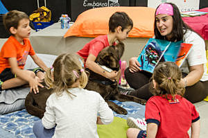 Resolución 2343 de 1996