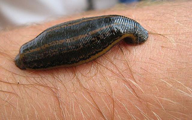 Si primer descubrimiento