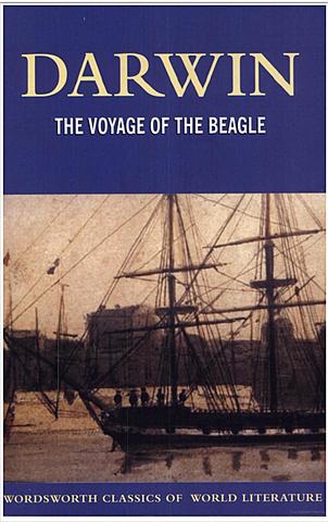 Pública su diario obra