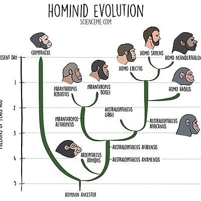 Timeline: HISTORY OF HUMANS