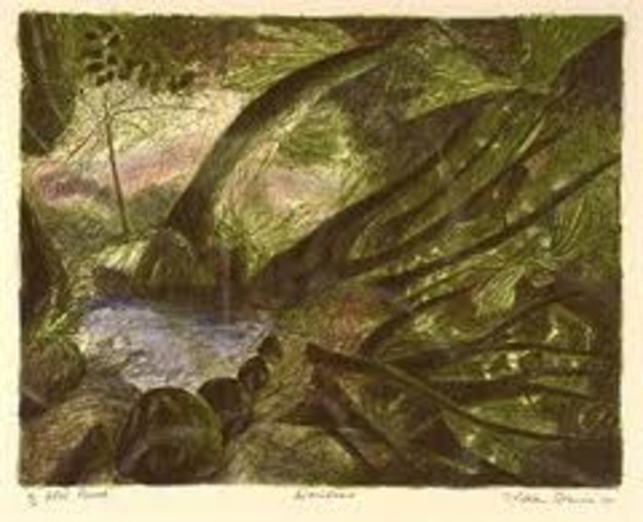 William Robinson comes into the world not knowing what future he has ahead of him