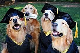 eventos significativos