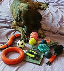 eventos significativos