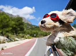 eventos de inflexión