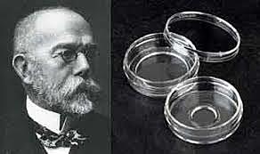 Julius Richard Petri 1887