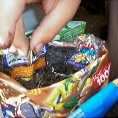 Timeline: Competencias Ciudadanas en la Escuela