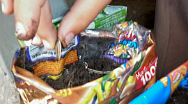 Timeline: Competencias Ciudadanas en la Escuela