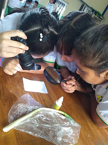 Página PLAN NACIONAL DE EDUCACION