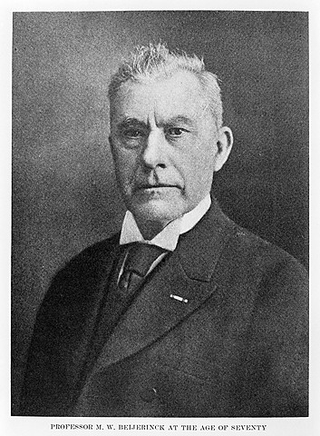 MARTINUS WILLEN BEIJERINCK