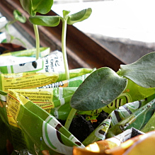 Sitio Web - Títulos