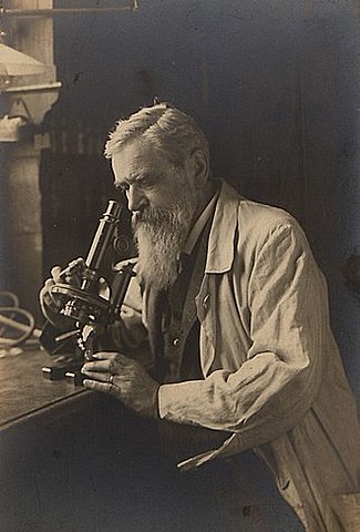 Otto Bütschli (1848-1920, zoologiste allemand)