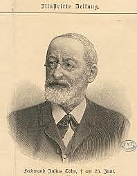 FERDINAND JULIUS COHN