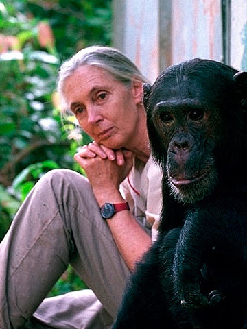 JANE GOODALL