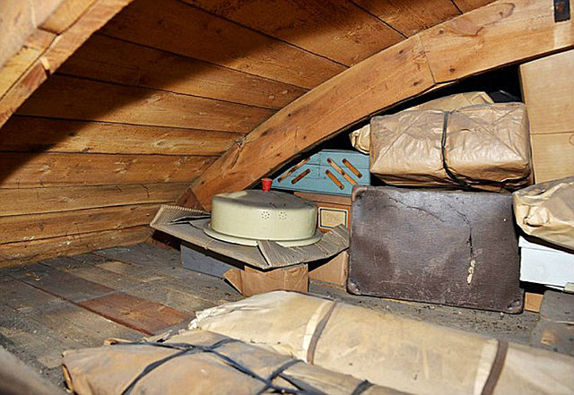 Hiding Out In Attic
