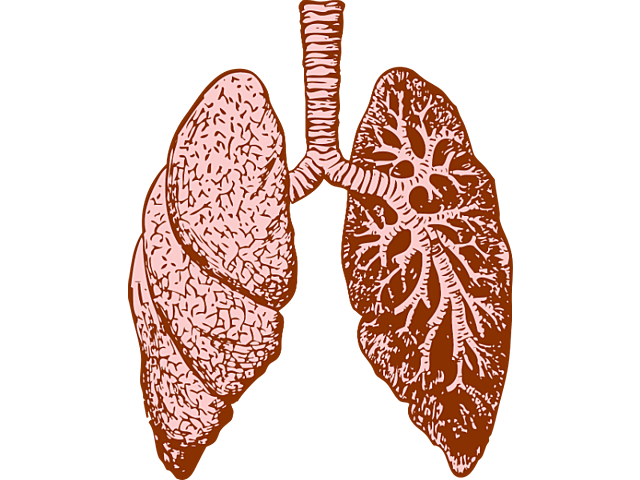 Hannah's Lung Disease