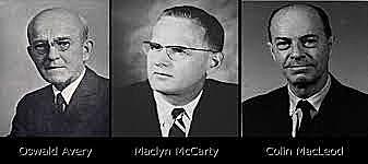 OSWALD AVERY, COLIN MACLEOD Y MACLYN MCCARTY
