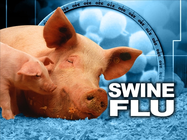 Outbreak of Swine Flu in Mexico