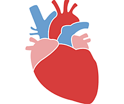 Wiesel wrote about his emergency open-heart surgery in "Open Heart".