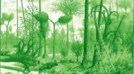 Timeline: Pennsylvanian Epoch