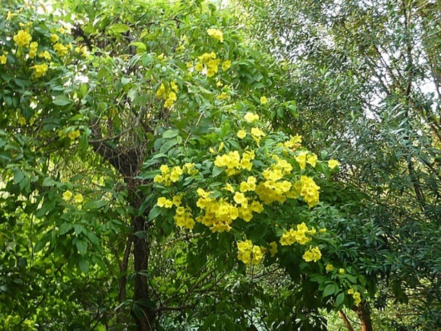 Lots Of Plants Start To Grow On Land