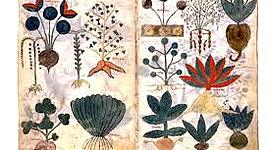 Timeline: Historia de la Farmacologia