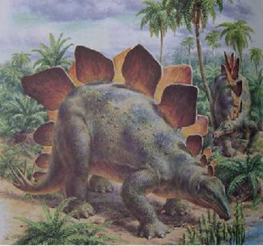 Stegosaurus