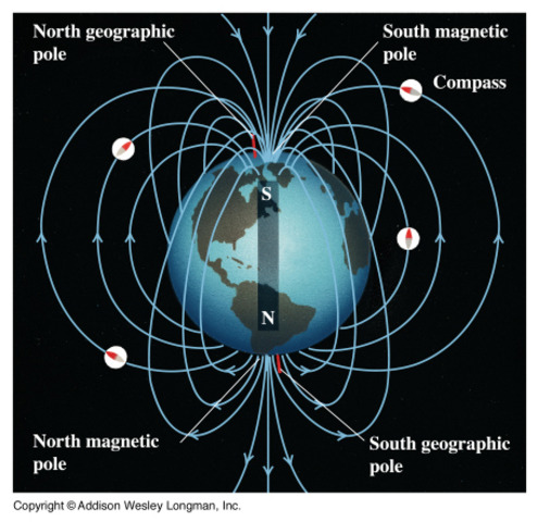 Earth's magnetic field is 3 times stronger than today.