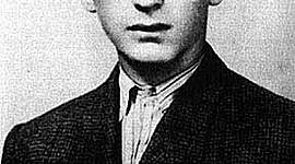 Timeline: Night Joshua Park