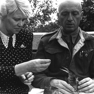 Timeline: The Zookeeper's Wife_Trisha Phan