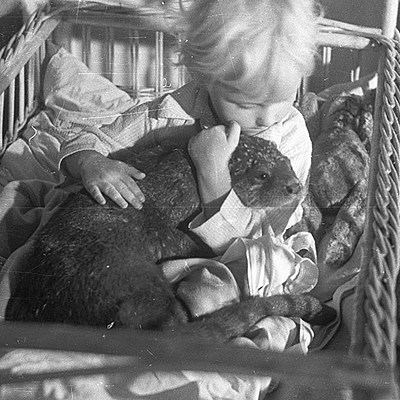 Timeline: The Zookeeper's Wife_Louis Kim