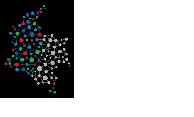 Concepto de RED en el contexto colombiano