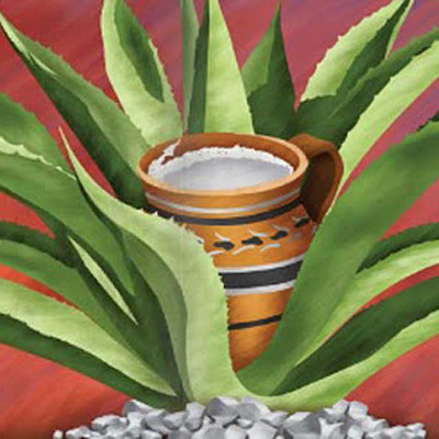 Timeline: El pulque a través del tiempo