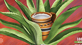 Timeline: El pulque a través del tiempo