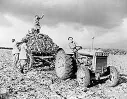 Leon's family lives with Farmers