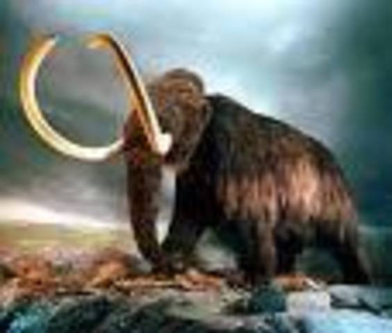 Pleistocene epoch begins
