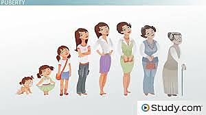 Puberty