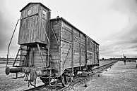 Dr. Nyiszli arrives at Auschwitz.