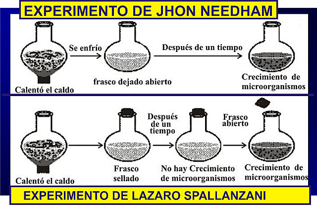 Lazzaro Spallanzani inicio de la derrota de la teoría de la generación expontania